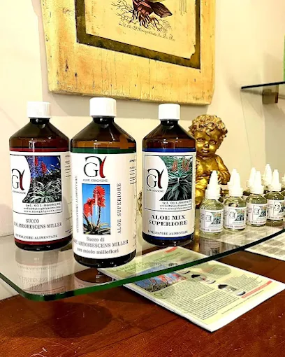 Aloe arborescens a Roma