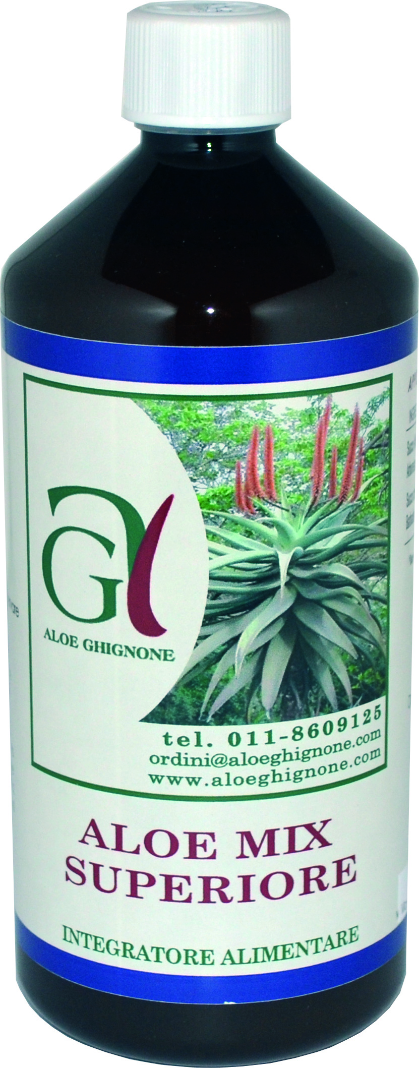 Aloe arborescens a Roma